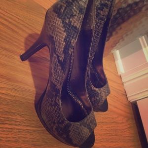 Rampage Alligator Skin Shoes